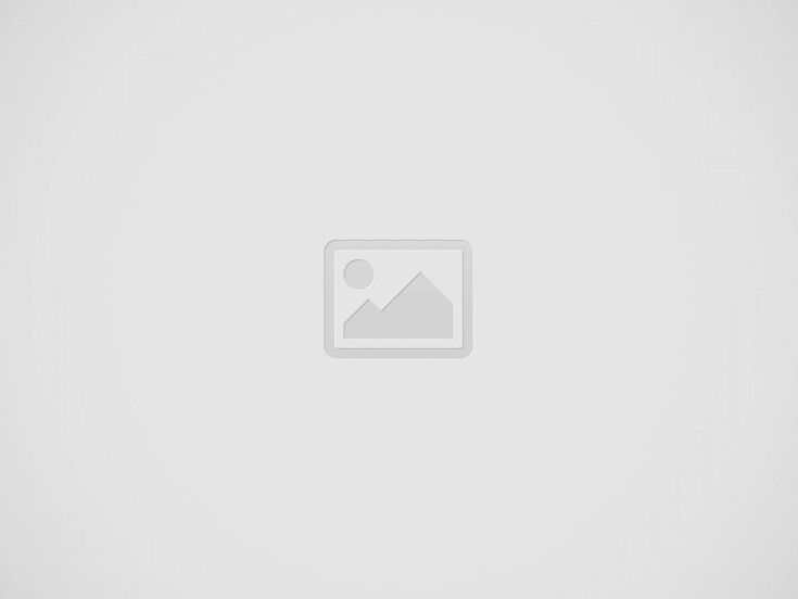 Latest ASF Jobs March 2025
