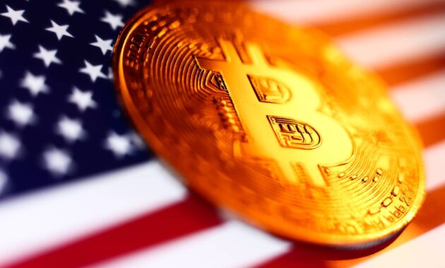 Bitcoin gains as Trump reportedly plans crypto executive order