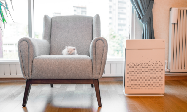 Boost your indoor air quality with the help of these nine products