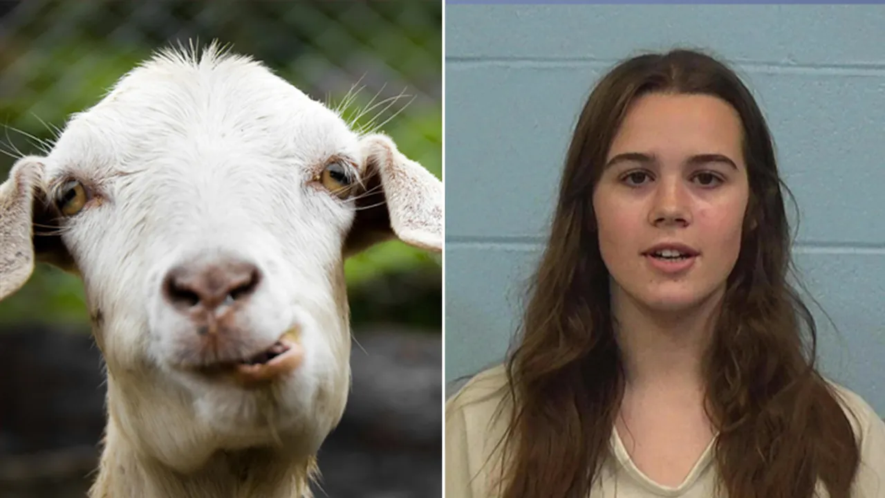 Cheerleader accused of poisoning rival’s show goat handed unique punishment