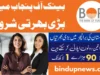 Latest Bank of Punjab Jobs March 2025- Online Apply | www.bop.com.pk