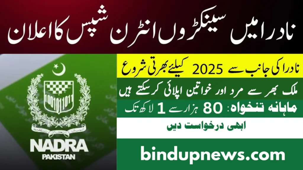 NADRA Graduate Internship Program March 2025