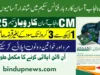 CM Punjab Asaan Karobar Finance Jobs 2025 – New Recruitment | www.akf.punjab.gov.pk