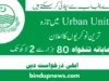 Punjab Urban Unit Jobs 2025- Employment Opportunities in the Urban Unit Planning & Development Board Punjab